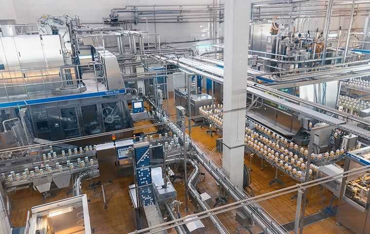 a large food processing plant