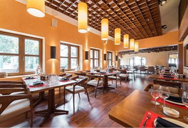 Commercial Pest Control