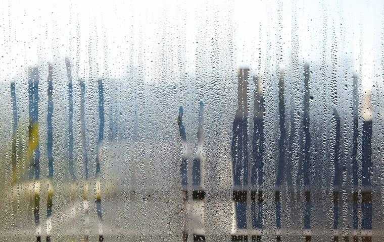 condensation on a chesapeake window