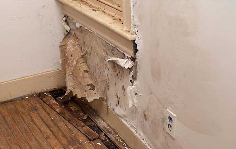 moisture damage in a home
